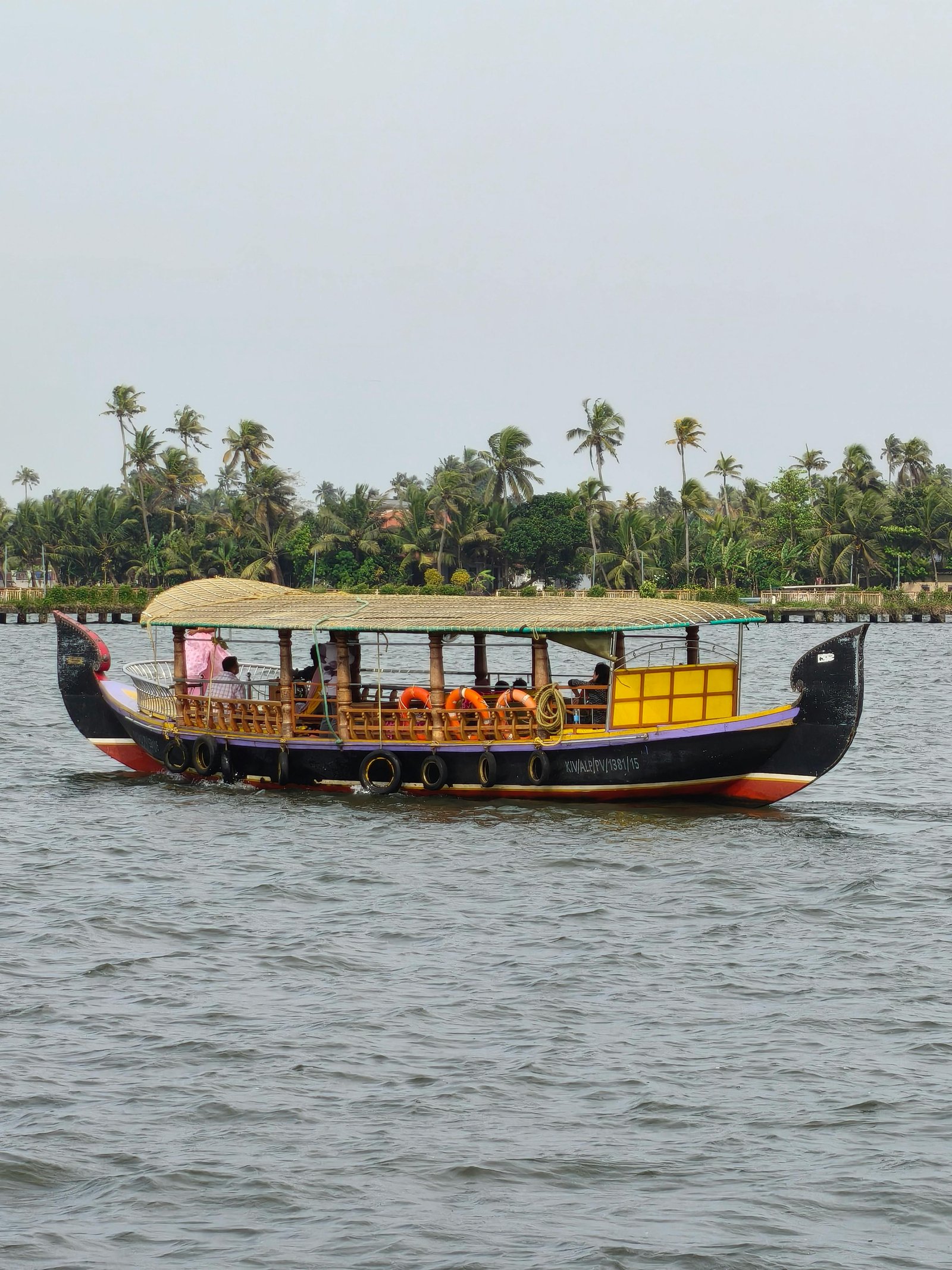 Kerala backwater and greenery view